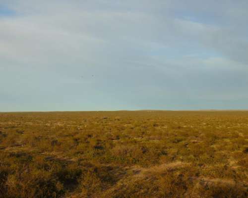 2500 Has. Lihuel Calel – la Pampa