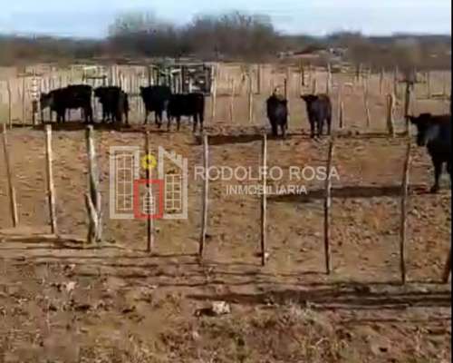 5200 Hectareas Ganaderas en Chacharramendi, la Pampa