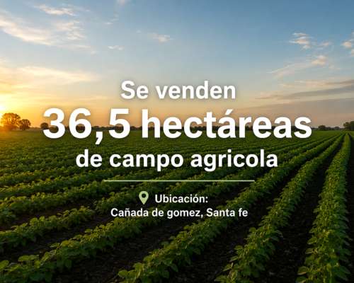 En Venta 36,5 Ha Campo Agricola Cañada de Gomez, Santa FE