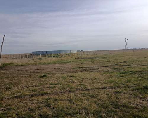 1000 HA, Ganadero, Dolores