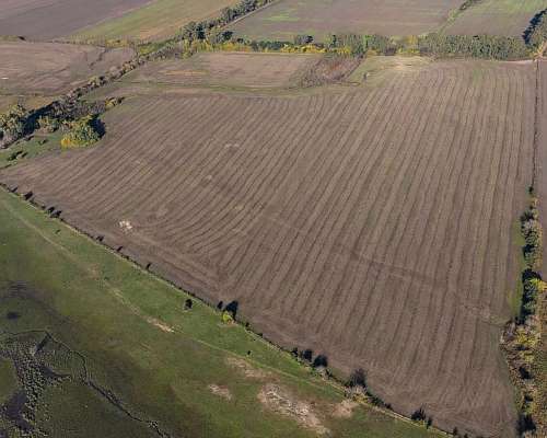 Campo Mixto en San Pedro