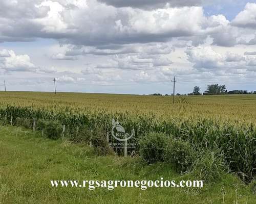 500 Has Agricolas Coneat 200 - Urugay