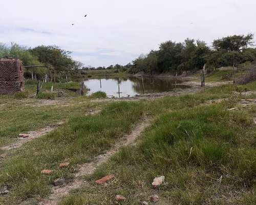 Dueño Vende Campo Gato Colorado Agricola Ganadero