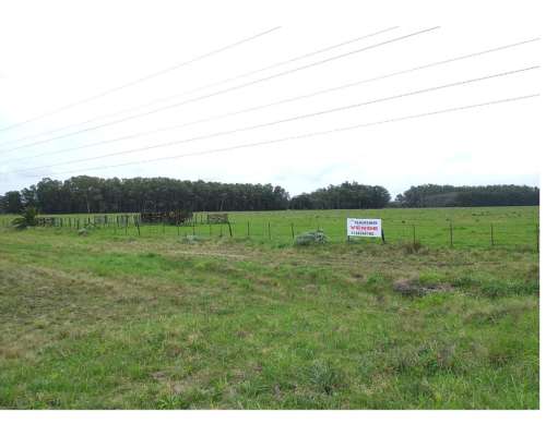 Campo en Venta en Punta Indio - 93 Hectáreas Sobre Ruta