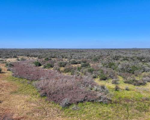 Pcia. de Entre Rios - San Jose de Feliciano 1960 Ha