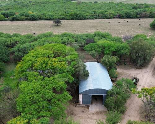 Campo Mixto 987 Ha Zona Cruz del Eje