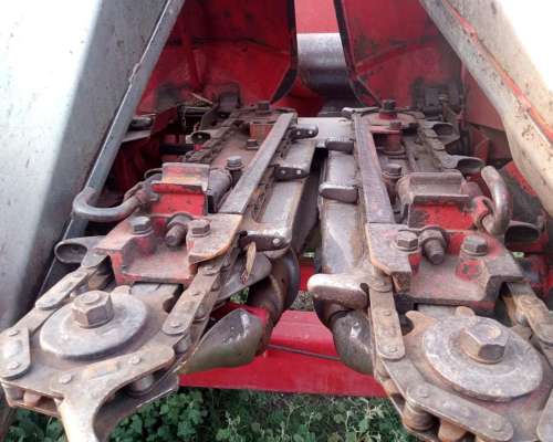 Maicero Mainero 1889 de 6 a 70