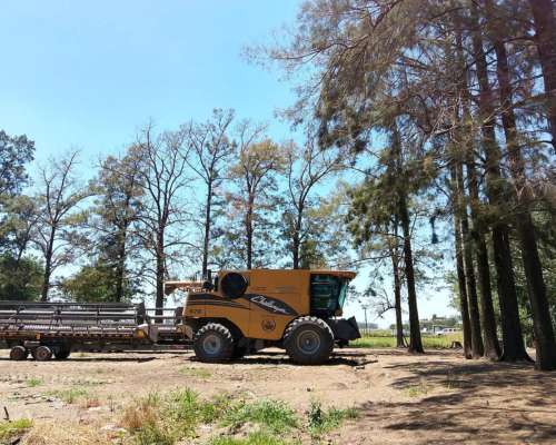 Challenger 670. Motor Sisu. 6000hs. Plat 30 Pies. sin Fin.