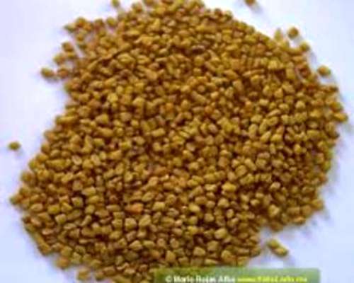 Compramos Melilotus (terminado Vibrado) en Zonas Productoras
