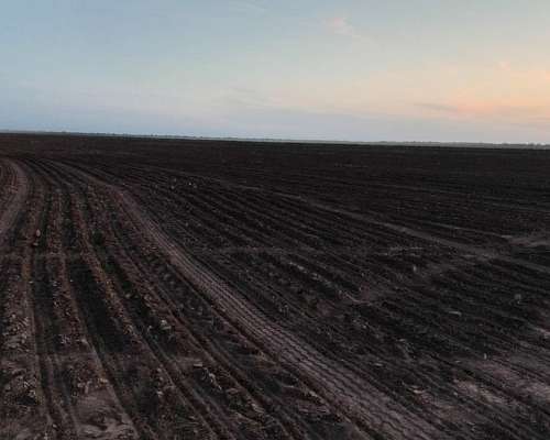 Campo Agricola 589 Has - Tres Isletas Chaco