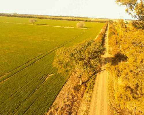 Campo en Venta Rafaela
