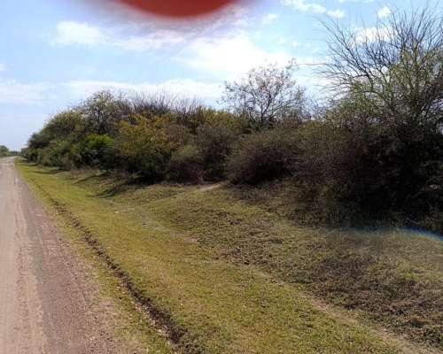 Vendo Campo Ganadero en la Pampa