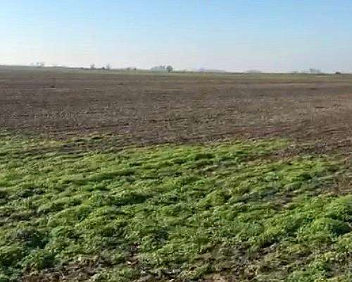 60 Ha Alem, Prov. de Buenos Aires