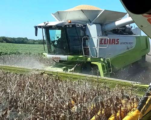 Cosechadora de Granos Claas 600