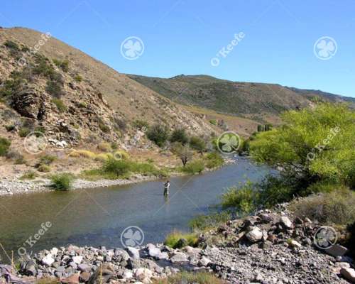 Campo en Venta de 486 Has Bariloche, Alto Rio Chubut