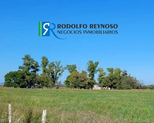 Campo en Villa Elisa - Entre Rios