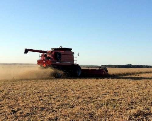 Cosechadora Case IH Axial Flow 2799. año 2015. C/plataformas