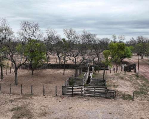 Clodomira, Banda, Santiago del Estero - 4.330 Ha