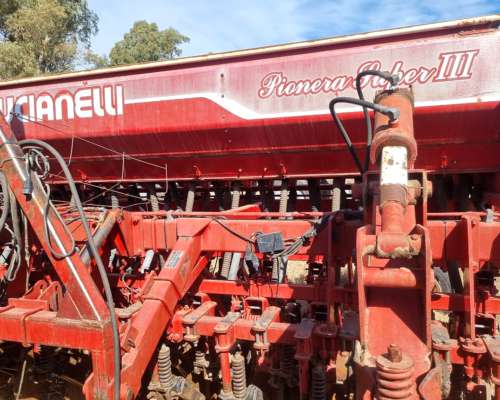 Crucianelli 29 a 17,5 con Alfalfero