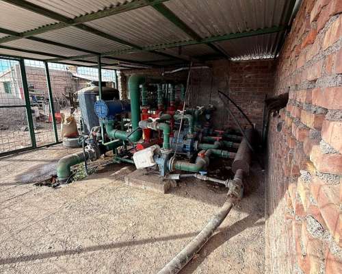 Finca de Viñedos Vitivinícola 34 Ha 2 Pozos,malla Anigranizo