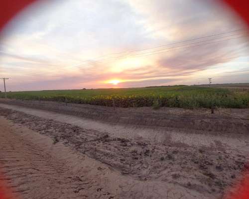 Venta 15.000 Has S/ruta Pcial. Vera Norte de STA FE Ganadero