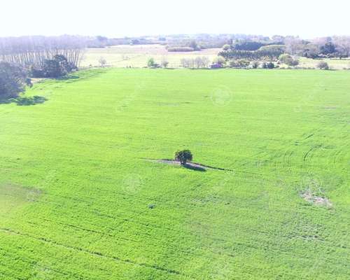 Chacra de 11 Has en Castelli - Ideal Fin de Semana