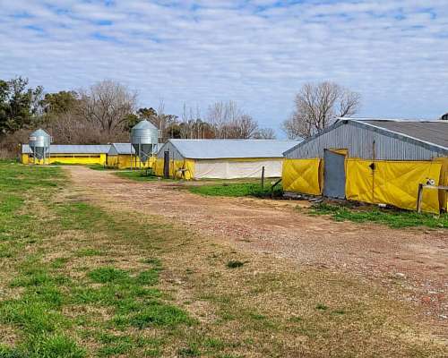 Granja en Venta Sobre la Ruta