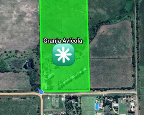 Granja Avícola. Nogoyá Entre Rios