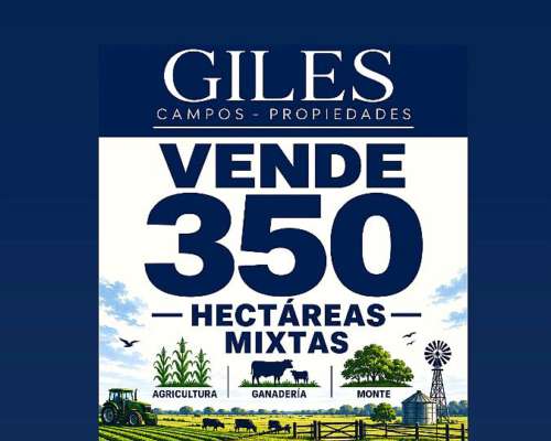 Campo Mixto 350 Hectáreas San Nicolás