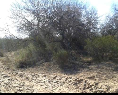 Hectareas en San Agustín Valle Fertil