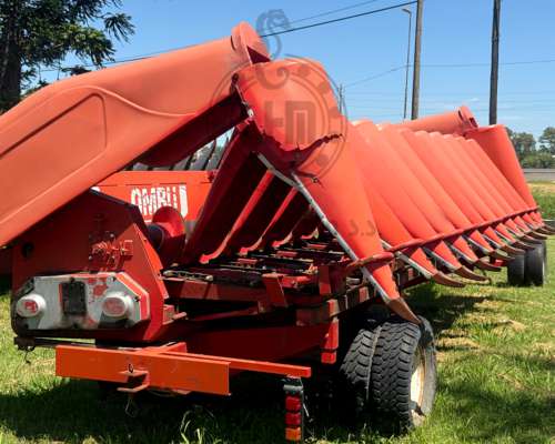 Maicero Ombu cm 2008 de 11 Surcos