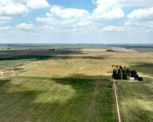 664 Has. Campo Ganadero en Gral. Villegas