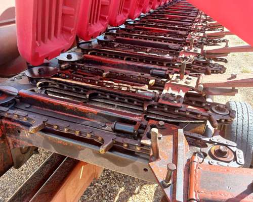 Cabezal Maicero de Grande 2020 13/52