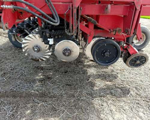 Semb Grueso - Crucianelli Gringa 20 a 42 - Mecánica - 2012