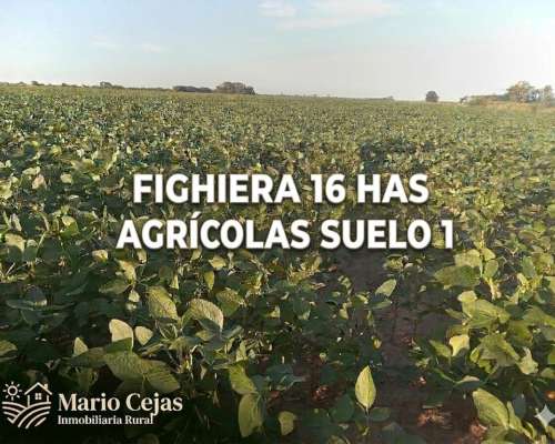 Fighiera 16 Has Agrícolas Suelo 1