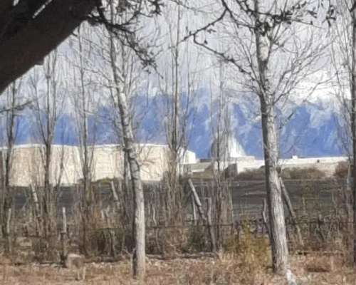 Se Vende Finca de 170ha con Plantaciones de AJO en San Carlo