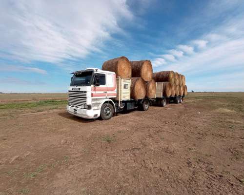 Servicios y Trasporte de Rollos