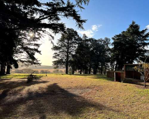 Tandil, Buenos Aires - 850 Ha