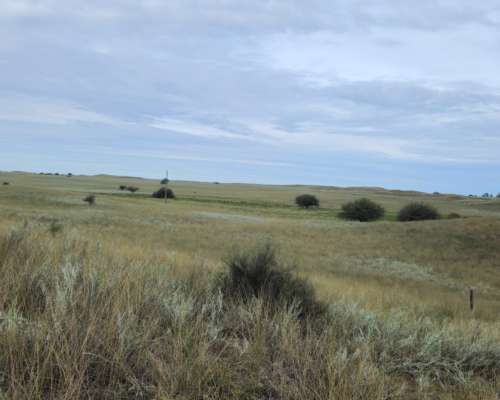 440 Ha Argerich, Sobre Ruta