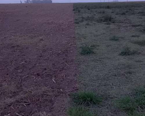 Carpi Agrotec (controlador Mecánico de Malezas)