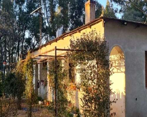 100 Ha Coronel Pringles