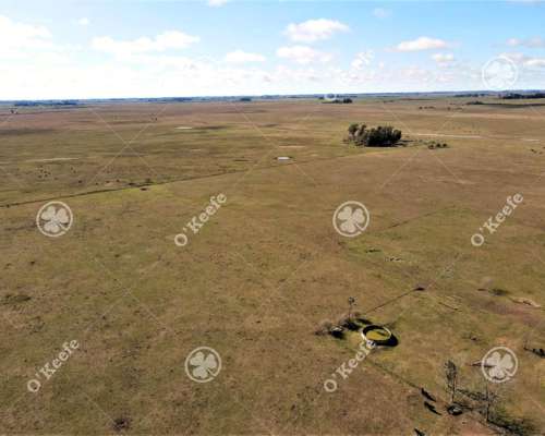 Campo en Venta de 288 Has en Magdalena