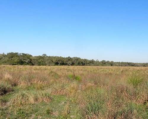 Selvas del Rio de ORO - 1432 Ha - Chaco