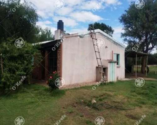 Campo en Venta de 44 Has, Cortaderas, San Luis. Nogales.