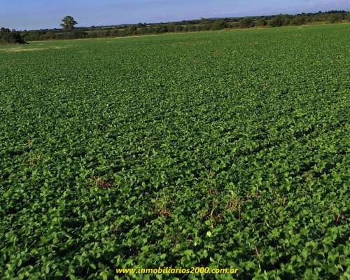 Córdoba Sarmiento 118 Has Agr+icolas Campaso