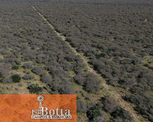 Establecimiento Ganadero de 1475 Hectáreas, Arizona,san Luis
