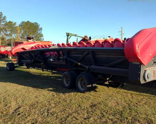 Cabezal Maicero Ombú de 18 a 52 año 2018