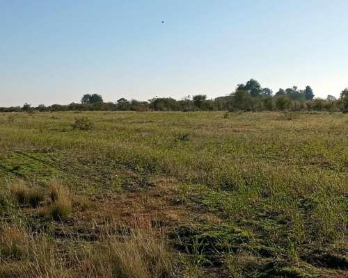 122 Ha Lucas Gonzalez. Superficie Agrícola
