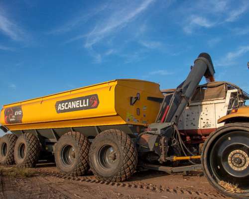 Tolva Autodescargable Ascanelli Evo, 43 TN, Nueva.