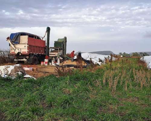 Vendo Máquina Clasificadora Indua 2006 Completa